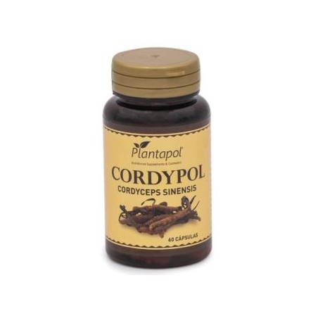 Cordypol cordyceps y vitamina c Plantapol