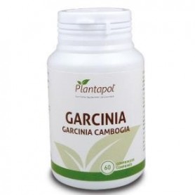 Garcinia Cambogia Plantapol