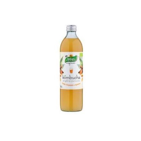 Kombucha Curcuma y Jengibre Santiveri