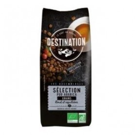 Cafe Arabica 100% Seleccion grano Bio Destination