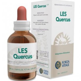 Les Quercus Pedunculata Forza Vitale