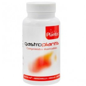 Gastro Plantis Artesania
