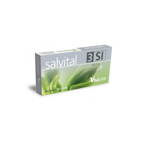 Salvital Nº3 SI silicea Vital 2000
