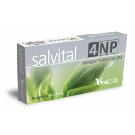 SALVITAL Nº4 NP natrum phosphoricum VITAL 2000
