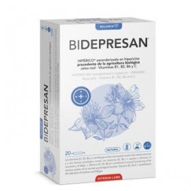 Bipole Bidepresan (jalea real + hypericum) Intersa