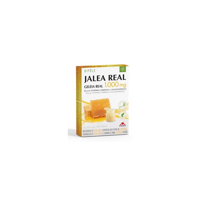 Bipole Jalea Real Fructosa 1000 mg Intersa