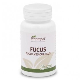 Fucus Plantapol