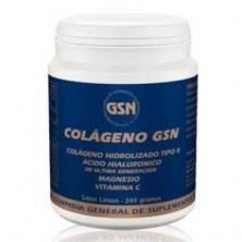 Colageno GSN con acido hialuronico