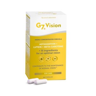 G7 Vision Silicium