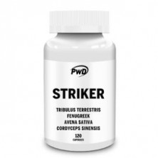 Striker PWD