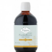 Pianto Bio San Jose D I Biolasi