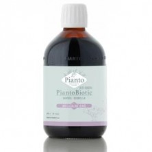 Pianto Bio San Jose D E Biolasi