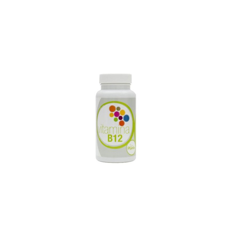 Vitamina B12 Artesania