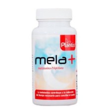 Mela+ Plantis Artesania