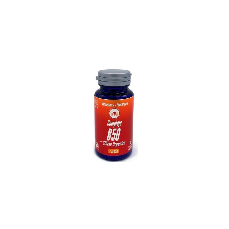 Complejo B50 y Silicio Ynsadiet