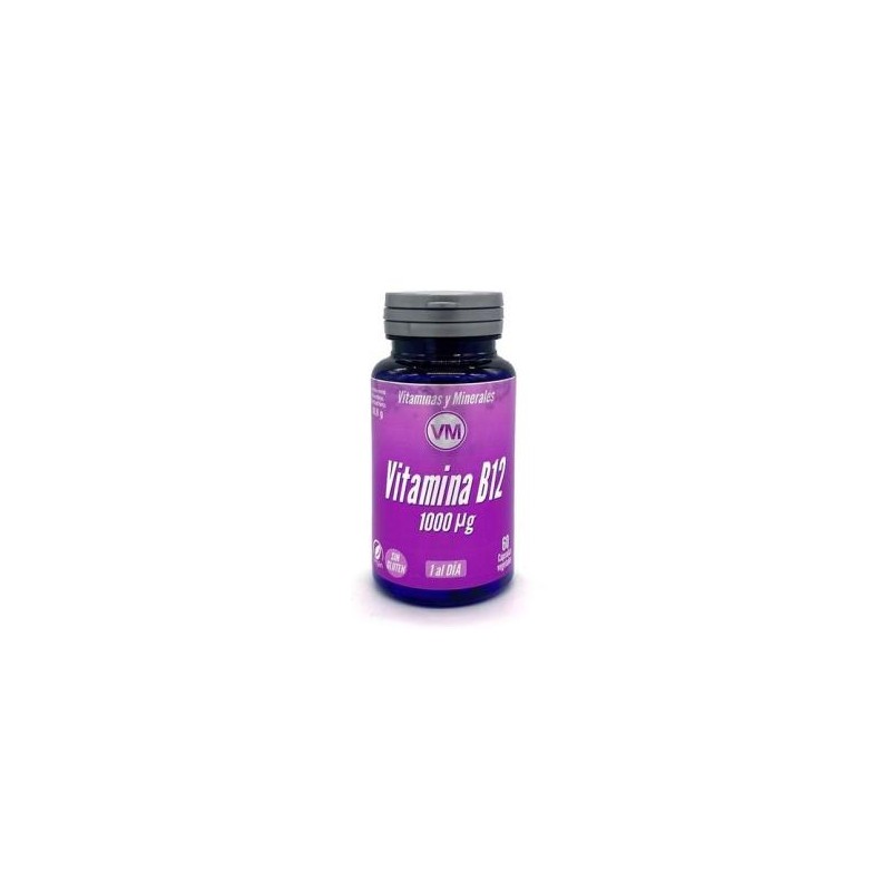 Vitamina B12 1000µg Ynsadiet