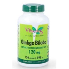 Ginkgo Biloba 120 mg Vbyotics