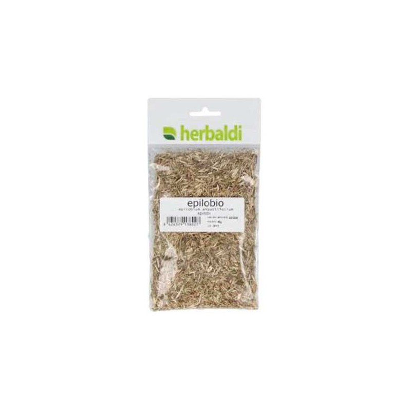 Epilobio Herbaldi