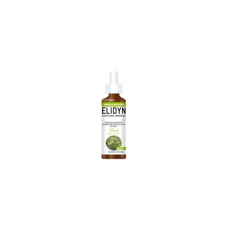 Beech Elidyn