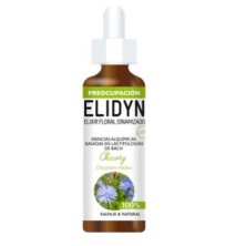 Chicory Elidyn