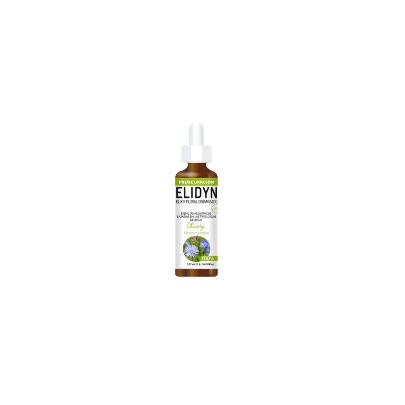 Chicory Elidyn