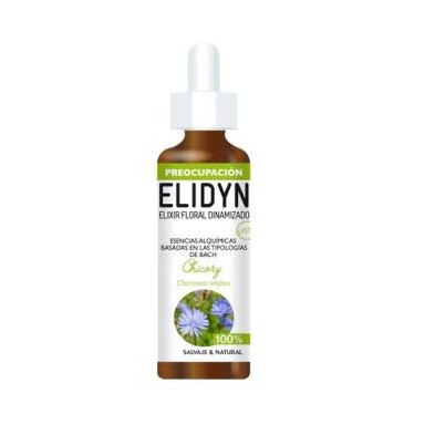 Chicory Elidyn