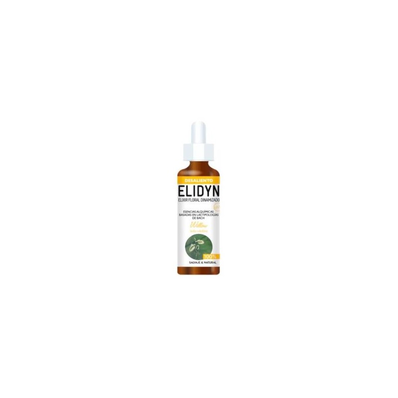Willow Elidyn