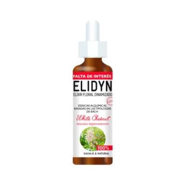 White Chestnut Elidyn