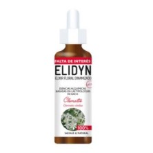 Clematis Elidyn