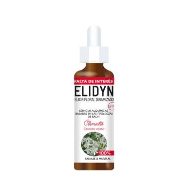 Clematis Elidyn