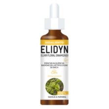 Elm Elidyn