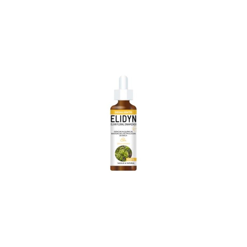Elm Elidyn