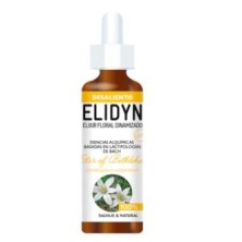 Star of Bethlehem Elidyn