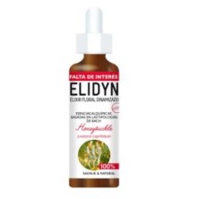 Honeysuckle Elidyn