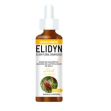 Larch Elidyn
