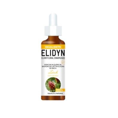 Larch Elidyn