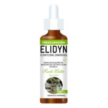 Rock Water Elidyn