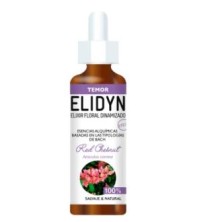 Red Chestnut Elidyn