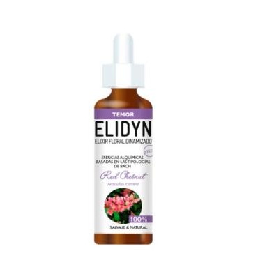 Red Chestnut Elidyn