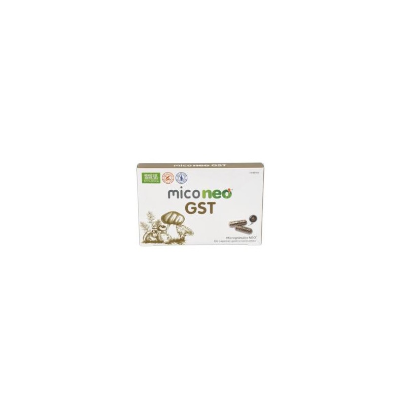 Mico Neo GST