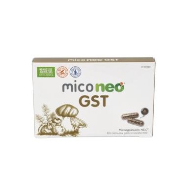 Mico Neo GST