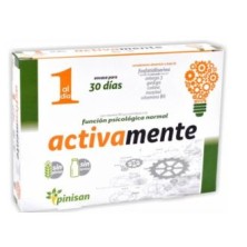 Activement Pinisan