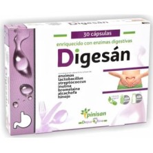Digesan Pinisan