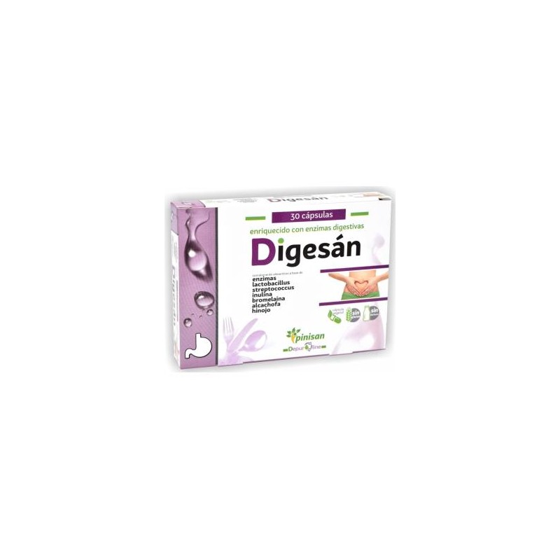 Digesan Pinisan
