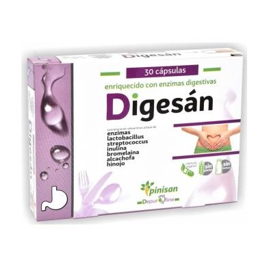 Digesan Pinisan