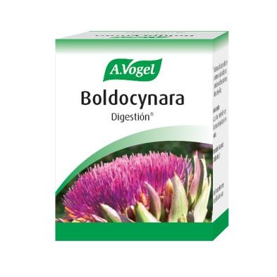 Boldocynara A. Vogel