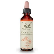 Rock Rose Flores de Bach Original