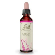 Larch Flores de Bach Original