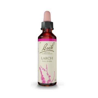 Larch Flores de Bach Original