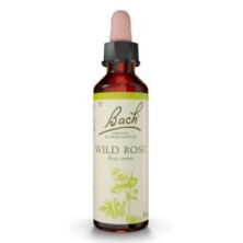 Wild Rose Flores de Bach Original